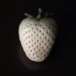 Featured image for 75 Best Beginner Raspberry Pi Projects to Try in 2026