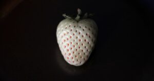 Featured image for 75 Best Beginner Raspberry Pi Projects to Try in 2026