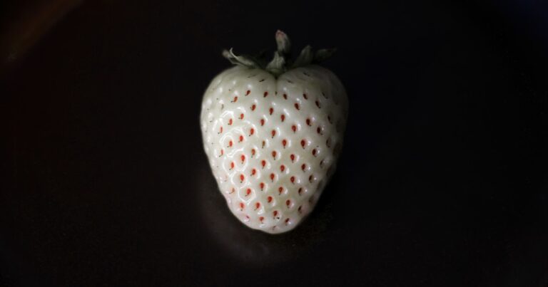 Featured image for 75 Best Beginner Raspberry Pi Projects to Try in 2026