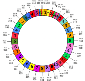 Featured image for What Is the Value of Unlocking Its Secrets in 2026