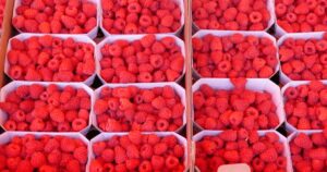 Featured image for How Long Will the Raspberry Pi Shortage Last 2026